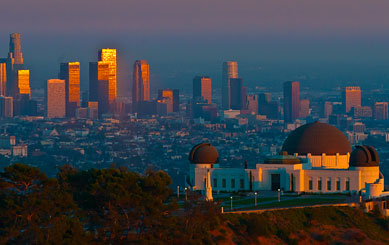 lax